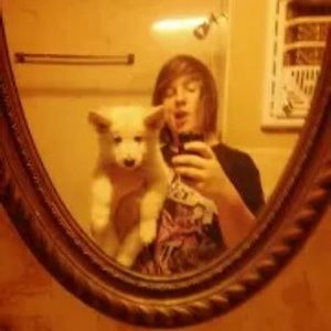 Meet your Posher, Chase